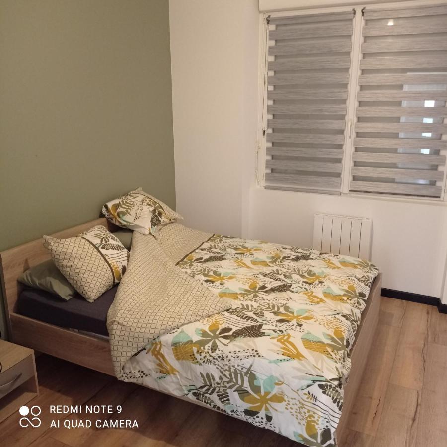 Maisonnette Tout Confort Parking Prive Breszt Kültér fotó